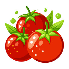 vector illustration of tomato