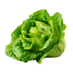 Fresh green lettuce on transparent background
