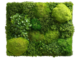 Lush green moss wall art with varied textures