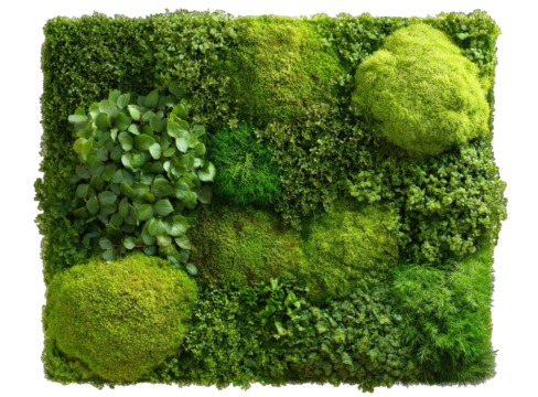Lush green moss wall art with varied textures