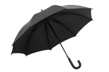 Dark umbrella open, angled view