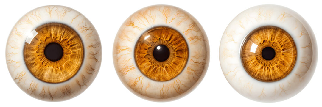 Set For realistic brown eyeballs isolated on transparent background