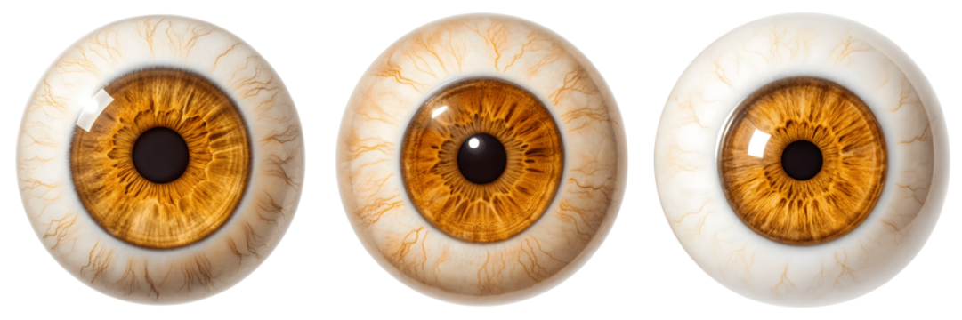 Set For realistic brown eyeballs isolated on transparent background