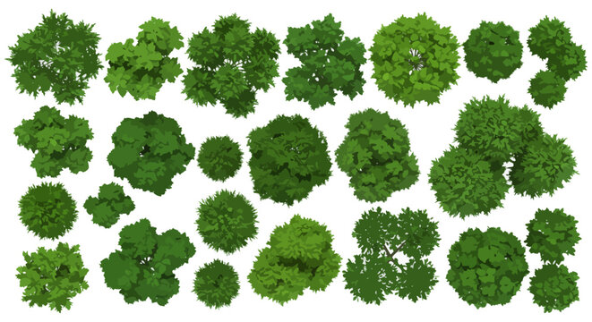 top view trees showcasing diverse tree canopies and foliage textures ideal for landscape designs and urban planning illustrations conveying greenery and nature