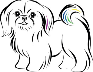 realistic logo colorful image of an dog Pekingese eps on white background
