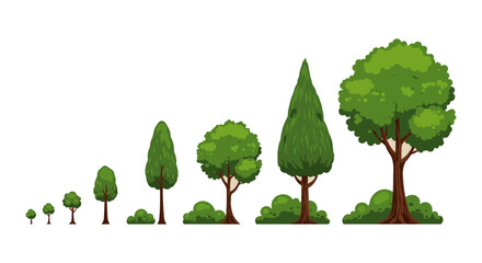 tree growth stages showing the progression from seedling to mature tree with lush green foliage perfect for illustrating natural development or ecological change visually charting plant life cycle