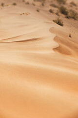 Gentle winds creating stunning ripples across the sand dunes of a vast desert landscape, highlighting the beauty of nature's patterns