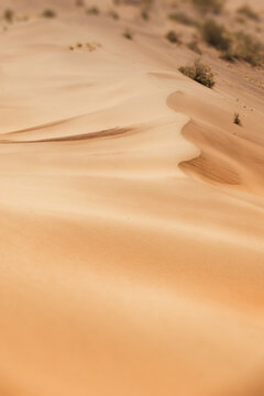 Fototapeta Gentle winds creating stunning ripples across the sand dunes of a vast desert landscape, highlighting the beauty of nature's patterns