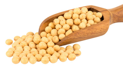 Isolated close-up of organic yellow soybeans in a wooden spoon, a healthy vegetarian snack ingredient