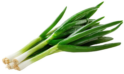 Obraz premium Bunch of fresh green scallions