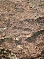 stone wall texture