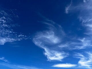 見上げる夏空。尾瀬ヶ原より。