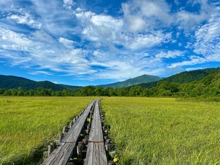 夏の尾瀬ヶ原の風景