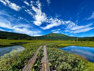 夏の尾瀬ヶ原の風景