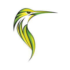 vector of humming bird color on with jpg white background