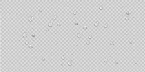 Glossy Transparent Water Drop PNG Vector Artwork