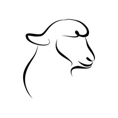 Elegant Sheep Head Line Art Minimalist Vector Illustration