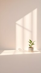 Minimalist Plant in Sunlight A Peaceful Composition with Soft Shadows and Clean Lines