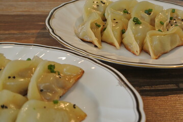 fried pork dumplings
