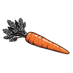 black and white silhouette of vector carrot on a white background
