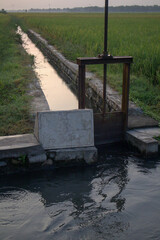 High-quality photo of an irrigation canal with water gates in rice fields. Perfect for agriculture,...