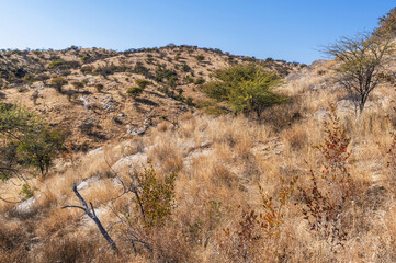 Paysage aride et rocheux dans le centre de la Namibie