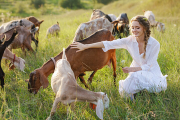 Woman with goats on organic dairy farm for goat milk and cheese concept