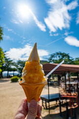 夏の松山城