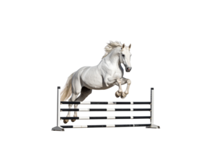 A white horse jumping over an obstacle on a white background.