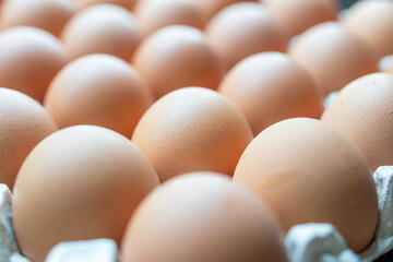 Fresh organic brown chicken eggs in cardboard tray