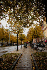 Naklejka premium A quiet city street in Stockholm covered with vibrant yellow leaves on a rainy autumn day. The wet pavement, bicycles, and brick buildings capture the cozy, melancholic mood of fall.
