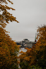 A moody, autumnal view of the Stockholm cityscape through a frame of colorful trees. The focus is...