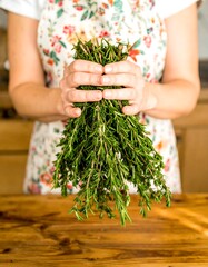 Fresh rosemary held in hands, kitchen setting
