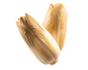 Two Chicory Heads on White Background endive vegetable isolated on a transparent background