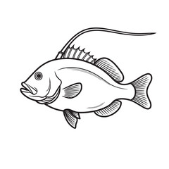 Clean black and white line drawing of a crappie or sunfish, perfect for fishing and wildlife themes, vector illustration