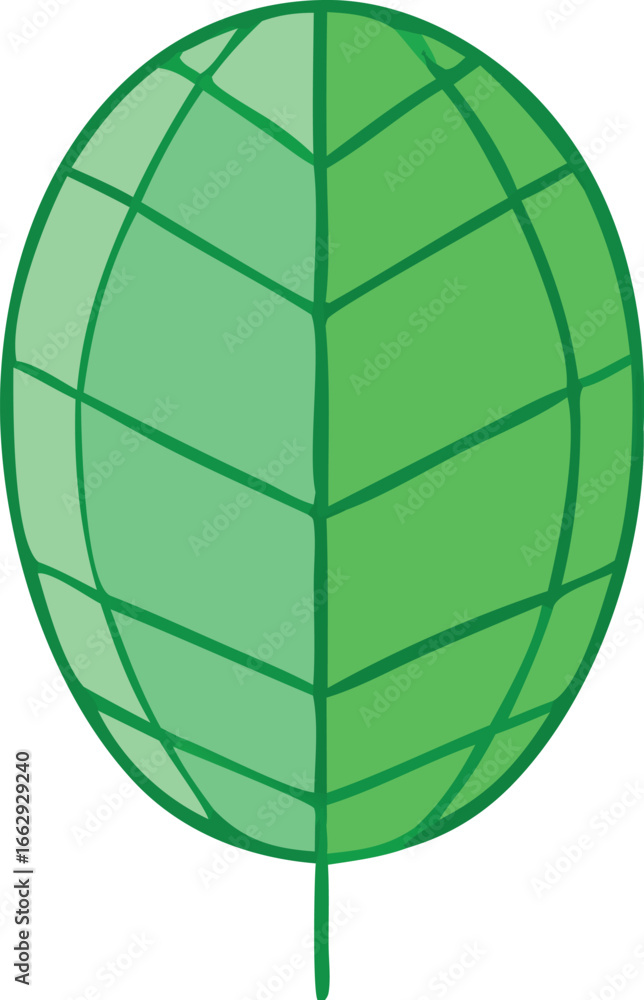 Poster abstract green oval shape with dividing lines indicating structure and growth in a conceptual design