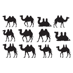 A collection of black silhouettes of camels, including dromedary and Bactrian, in various walking and standing poses, vector illustration
