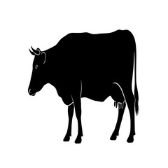 Silhouette of a cow, standing, profile view, simple, black, farm animal.
