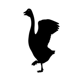 A black silhouette of a goose, wings partially raised, one leg lifted, suggesting movement.