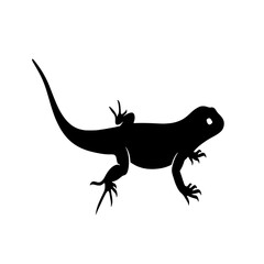 Obraz premium Silhouette of a lizard with a long tail and detailed feet, standing on a white background.