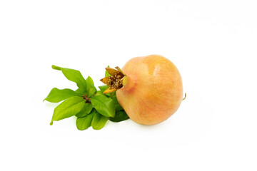 pomegranate, sun-kissed, leathery skin, cracks open, treasure trove, glistening arils, ruby-red,...
