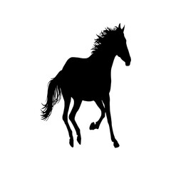 A powerful black silhouette of a horse galloping freely.