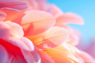 Fototapeta premium A stunning macro photograph of a pale peach feather showing the intricate delicate texture and fine filaments under soft natural lighting