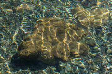 Sunlight reflecting on underwater rock in crystal clear sea