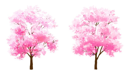 Obraz premium Vector watercolor of blooming tree top view isolated on white background for landscape plan and architecture drawing, elements for environment and garden,botanical elements ,blooming cherry blossom 