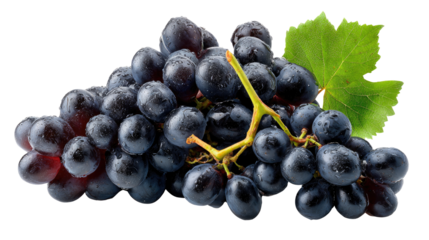 Black Grapes Delight: A vibrant cluster of ripe black grapes, glistening with freshness, offers a sensory feast, enhanced by the presence of a fresh green leaf, alluring in its simple beauty.
