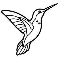 Obraz premium hummingbird vector illustration