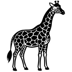 Naklejka premium giraffe vector illustration