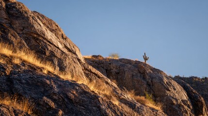 Rocky mountainside with saguaro