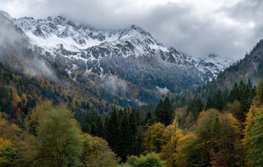 Fototapeta premium FALL SEASON